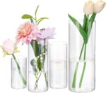Fixwal 4pcs Clear Glass Cylinder Vases, 4, 6, 8, 10 Inch Tall Cylinder... - Image 2