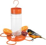 Nature's Method Hanging Glass Oriole Feeder for Outside Décor, 30 Ounce C... - Image 2
