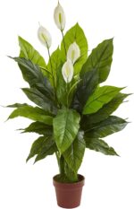 Practically Pure 42” Spathiphyllum Synthetic (Actual Contact) Silk Crops G... - Image 2