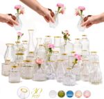 Premium Heirloom Hills Bud Vases for Dwelling Decor, Crystal Clear Glass F... - Image 2