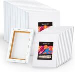 Shuttle Artwork Stretched Canvas, 20 PCS Worth Pack, 5 x 7, 8 x 10 Inches ... - Image 2