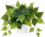 Waipfaru Fake Vegetation Indoor with Plastic Pots, Lifelike Small Faux Pl... - Image 2