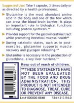 Premier Glutamine by Premier Analysis Labs --100 caps - Image 3