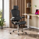 DEVAISE Ergonomic Mesh House Workplace Desk Chair with Lumbar Assist, Hig... - Image 3