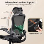 DEVAISE Ergonomic Mesh House Workplace Desk Chair with Lumbar Assist, Hig... - Image 6