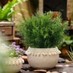 Synthetic Crops Flowers Grass Shrubs 8 Pack No Fade Fake Plastic Flo... - Image 7