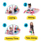 Child Einstein Ocean Explorers 4-in-1 Kickin Tunes Jellyfish Jamboree M... - Image 4