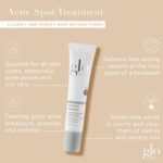 Glo Pores and skin Magnificence Pimples Spot Therapy - With 5% Sulfur Targets Breakouts... - Image 3