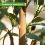 Fake Olive Tree 6FT – Tall Synthetic Vegetation Indoor with Actual Wooden Tru... - Image 6