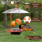 Nature's Means OFM1 Wire Oriole Feeder - Image 4