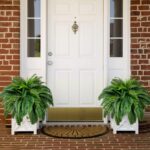 Single Silky Synthetic Boston Fern Bush, 48Inch Synthetic Crops, Su... - Image 6