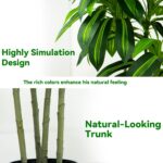 Synthetic Dracaena Tree Synthetic Silk Tree Fake Tree with White Tal... - Image 4