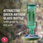 Perky-Pet Glass Hummingbird Feeders for Open air - Vintage Bottle Styl... - Image 4