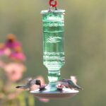 Perky-Pet Glass Hummingbird Feeders for Open air - Vintage Bottle Styl... - Image 6