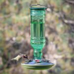 Perky-Pet Glass Hummingbird Feeders for Open air - Vintage Bottle Styl... - Image 7