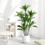 Dracaena Synthetic Plant Indoor 5FT - Massive Tropical Pretend Tree with L... - Image 3
