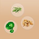 Darkish Spot Remover for Face and Physique - Darkish Spot Corrector Serum for Ac... - Image 7