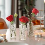 ComSaf Glass Bud Vases Set of three, Small Flower Vases in Bulk, Mini Diam... - Image 5