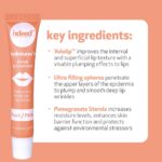 INDEED LABS Hydraluron + Tinted Lip Therapy, Hydrating Anti-Growing old Li... - Image 3