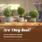 3 Pack Pretend Crops in Cement Planter, Small Synthetic Crops Indoor, ... - Image 4