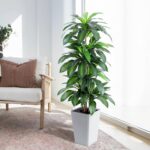 Synthetic Dracaena Tree with White Tall Planter, 5ft Tall Potted Arti... - Image 3
