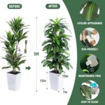 Synthetic Dracaena Tree with White Tall Planter, 5ft Tall Potted Arti... - Image 4