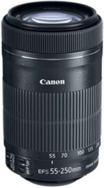Canon EF-S 55-250mm F4-5.6 is STM Lens for Canon SLR Cameras (Renewed) - Image 3