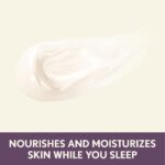 Aveeno Completely Ageless Restorative Evening Cream Face & Neck Moisturi... - Image 5