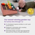 Boppy Be taught and Develop Backyard Toddler & Child Toy - Plush Montessori-Insp... - Image 3
