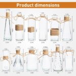 Glass Bud Vases Set of 12,Small Flower Vases for Centerpieces with Rop... - Image 3