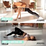 | Set of two Premium Core Sliders with Free Exercise Video & Journey Bag |... - Image 6