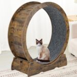 Cat Train Wheel for Indoor Cats - Massive Working Wheel for Small Ani... - Image 3