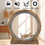 Cat Train Wheel for Indoor Cats - Massive Working Wheel for Small Ani... - Image 4