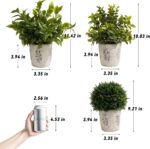 3 Pack Synthetic Vegetation in Cement Planter (11.42/10.83/9.21 Inch) - F... - Image 4