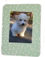 Fujifilm Instax Mini 12 Prompt Digital camera + Professional Design Accent Bundle w... - Image 3