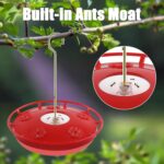 FEED GARDEN 2 Pack 16 OZ Hummingbird Feeders for Outside 5 Feeder Port... - Image 3