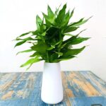 Easy Vase for Flowers Vegetation, Matte Vases for Fashionable Desk Shelf Hom... - Image 9