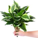 3PCS Synthetic Tropical Inexperienced Crops – 19.6" Pretend Hostas Outside Arti... - Image 5