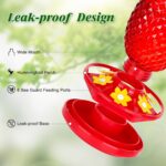 Glass Hummingbird Feeders for Outdoor Hanging Ant and Bee Proof 16OZ ... - Image 3