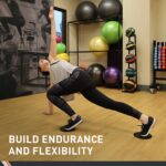 Physique Sport Gliders Train Sliders Exercise Sliders 7-Inch Spherical Black... - Image 5