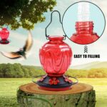 Glass Hummingbird Feeder for Outside Hanging, 24Ozs Buzzing Chook Nect... - Image 6