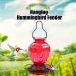 Glass Hummingbird Feeder for Outside Hanging, 24Ozs Buzzing Chook Nect... - Image 8