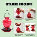 Glass Hummingbird Feeder for Outside Hanging, 24Ozs Buzzing Chook Nect... - Image 9