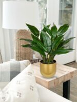 Pretend Vegetation 17'' Fake Vegetation Synthetic Potted Vegetation Indoor Practical... - Image 4