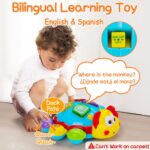 AugToy Child Crawling Toys 12-18 Months Tummy Time Spanish English Bili... - Image 4