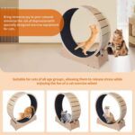 Giant Cat Train Wheel 40 Inch Treadmill Exerciser for Indoor Cats L... - Image 4