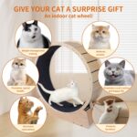 Giant Cat Train Wheel 40 Inch Treadmill Exerciser for Indoor Cats L... - Image 6
