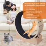 Giant Cat Train Wheel 40 Inch Treadmill Exerciser for Indoor Cats L... - Image 7