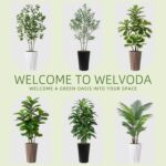 Synthetic Fiddle Leaf Fig Plant Indoor 5FT Fake Rubber Tree with Moch... - Image 5