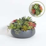 CG Hunter Fake Succulent Association, Premium Synthetic Indoor Plant ... - Image 3